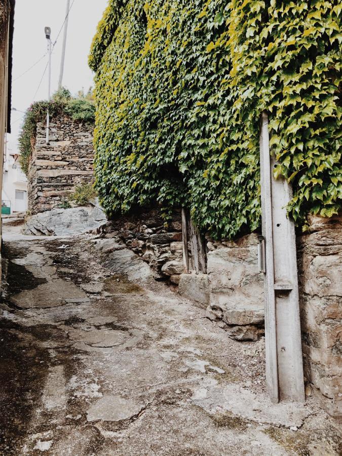 Hostal Casa Do Douro Alijó Exterior foto